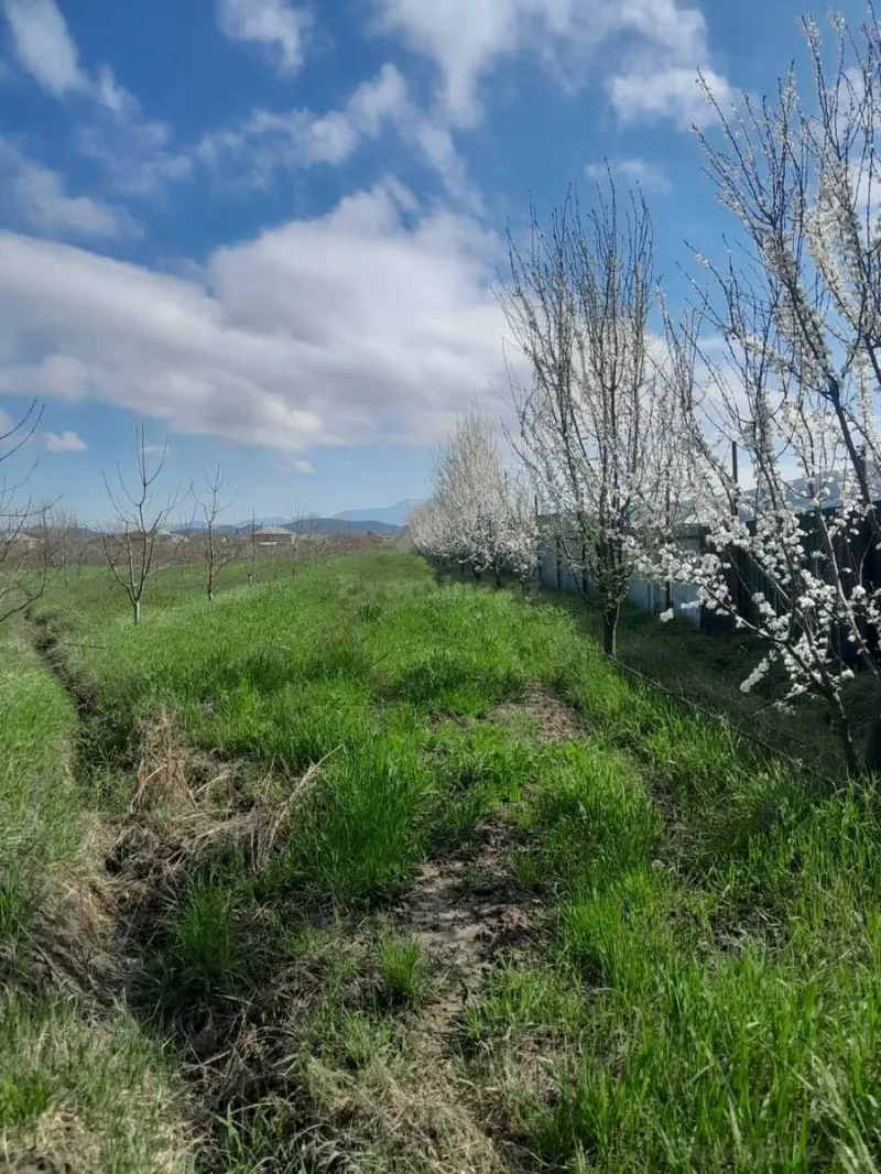 Satılır Torpaq 126 sot Quba - şəkil 5