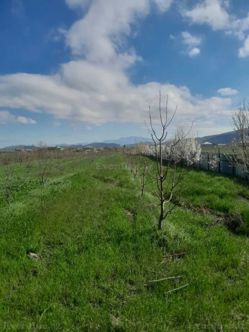 Satılır Torpaq 126 sot Quba - şəkil 6