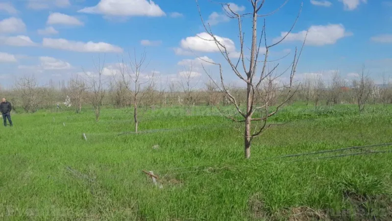 Satılır Torpaq 126 sot Quba - şəkil 7