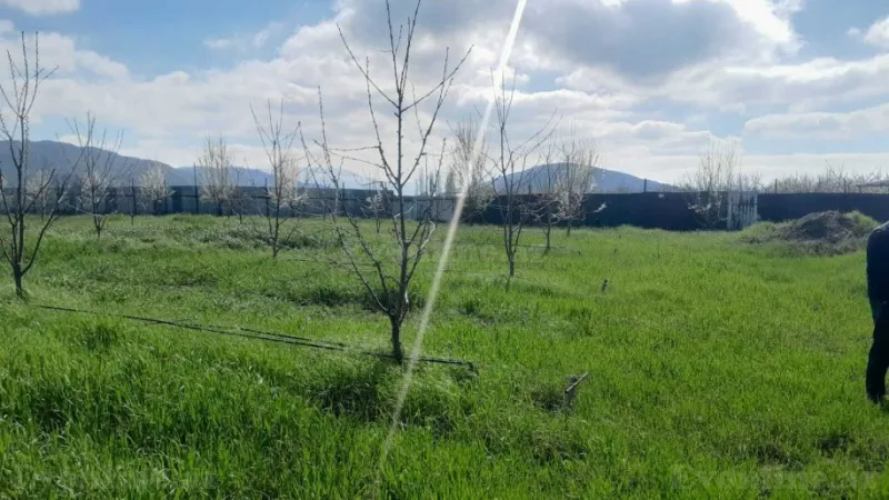 Satılır Torpaq 126 sot Quba - şəkil 8