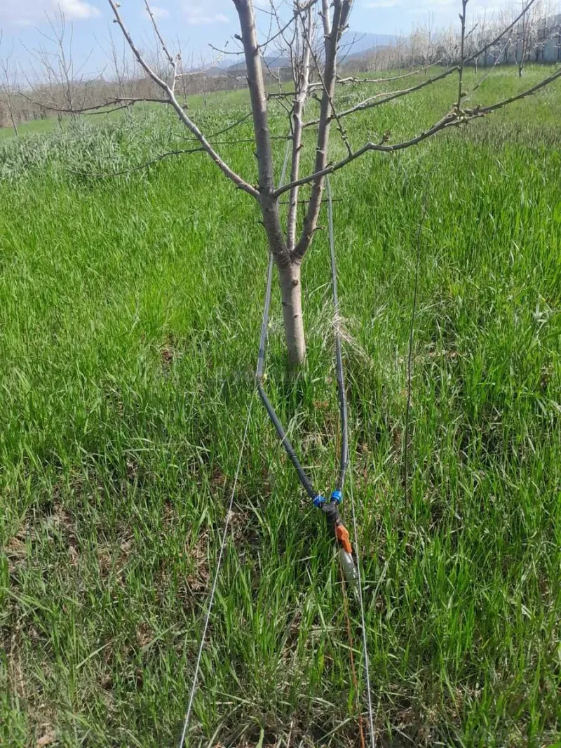 Satılır Torpaq 126 sot Quba - şəkil 9