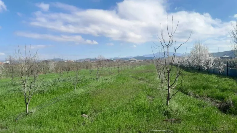 Satılır Torpaq 126 sot Quba - şəkil 14