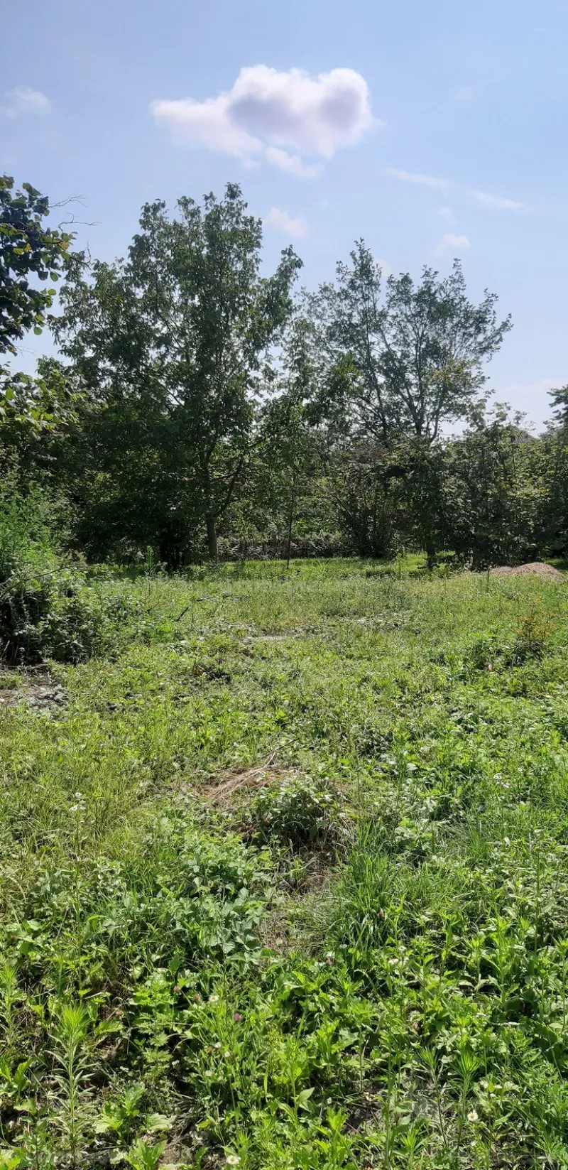 Satılır Torpaq 8 sot Qəbələ