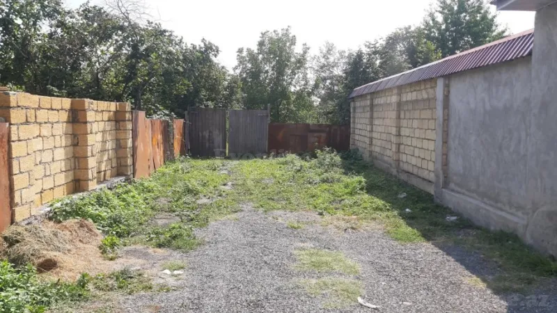 Satılır Torpaq 8 sot Qəbələ - şəkil 4