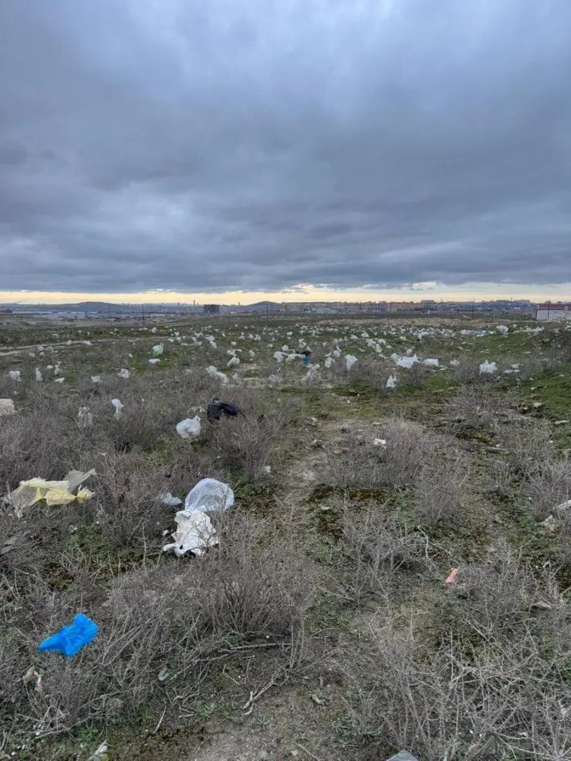 Satılır Torpaq 10 sot Saray - şəkil 2