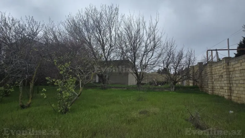 Torpaq Novxanı Satılır