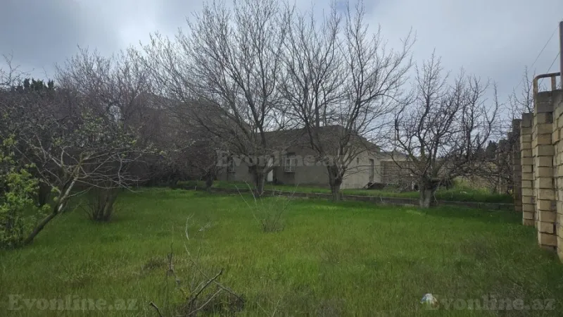 Satılır Torpaq 10 sot Novxanı - şəkil 3