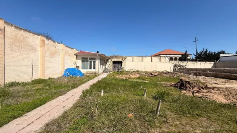 Torpaq Şüvəlan Satılır