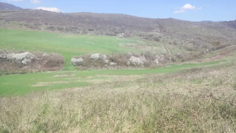 Satılır Torpaq 32 sot Ağsu