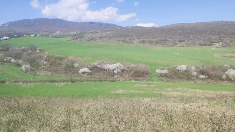 Satılır Torpaq 32 sot Ağsu - şəkil 2