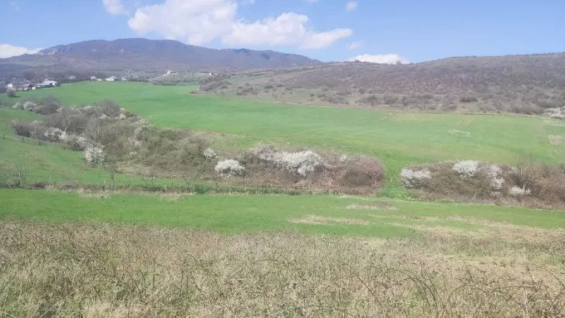 Satılır Torpaq 32 sot Ağsu - şəkil 3