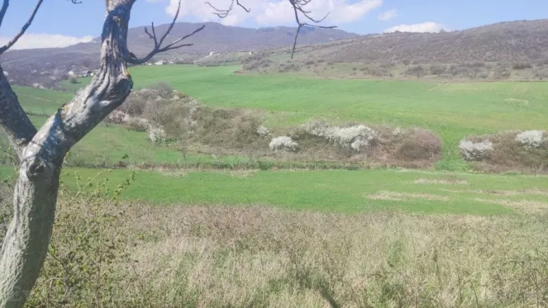 Satılır Torpaq 32 sot Ağsu - şəkil 4