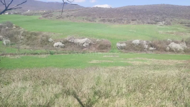 Satılır Torpaq 32 sot Ağsu - şəkil 5