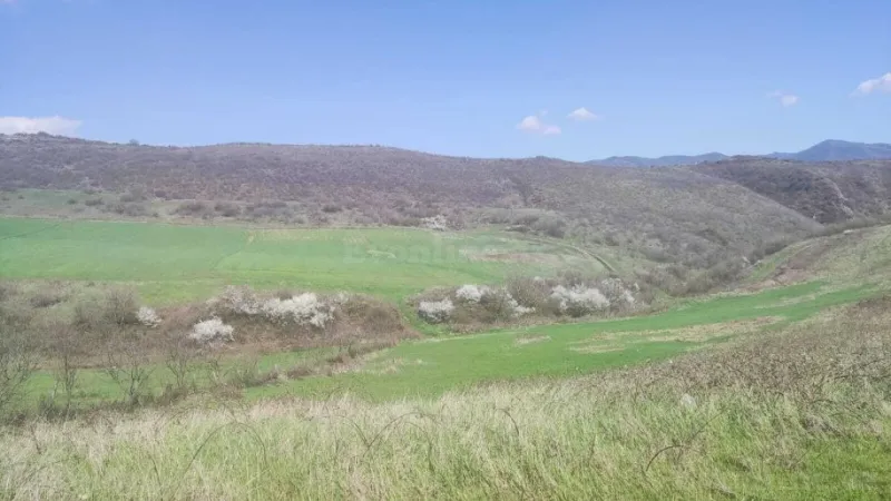 Satılır Torpaq 32 sot Ağsu - şəkil 6