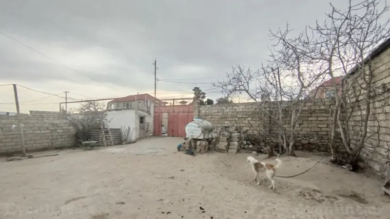 Torpaq Şüvəlan Satılır