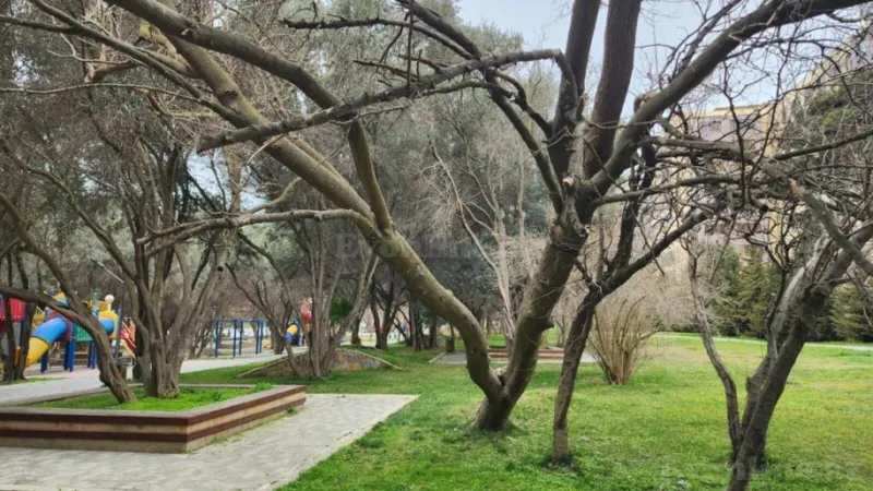 Satılır 3 otaqlı Mənzil Köhnə tikili 85 m² Həzi Aslanov - şəkil 17