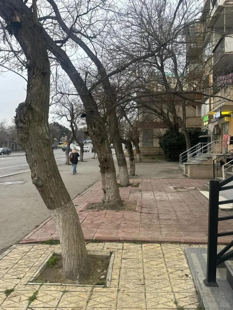 Kirayə verilir Obyekt 40 m² Yasamal - şəkil 3