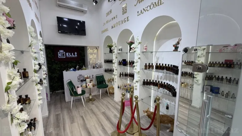 Kirayə verilir Obyekt 20 m² 28 May m. - şəkil 2