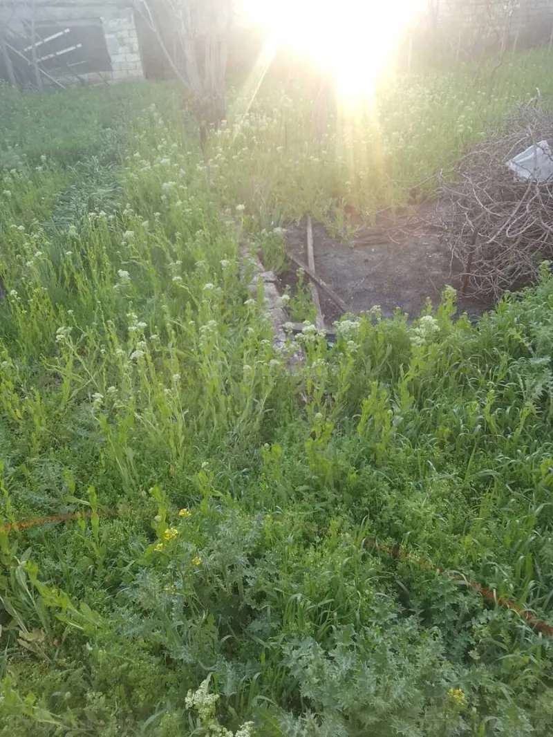 Satılır Torpaq 10 sot Xırdalan