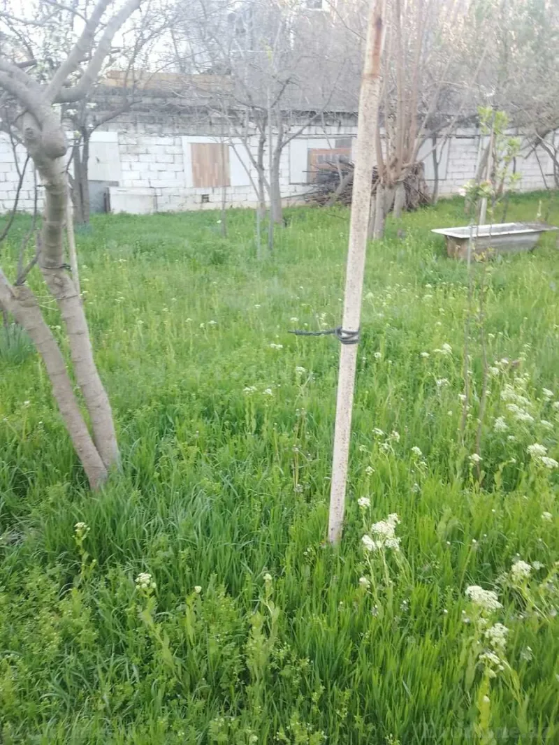 Satılır Torpaq 10 sot Xırdalan - şəkil 3