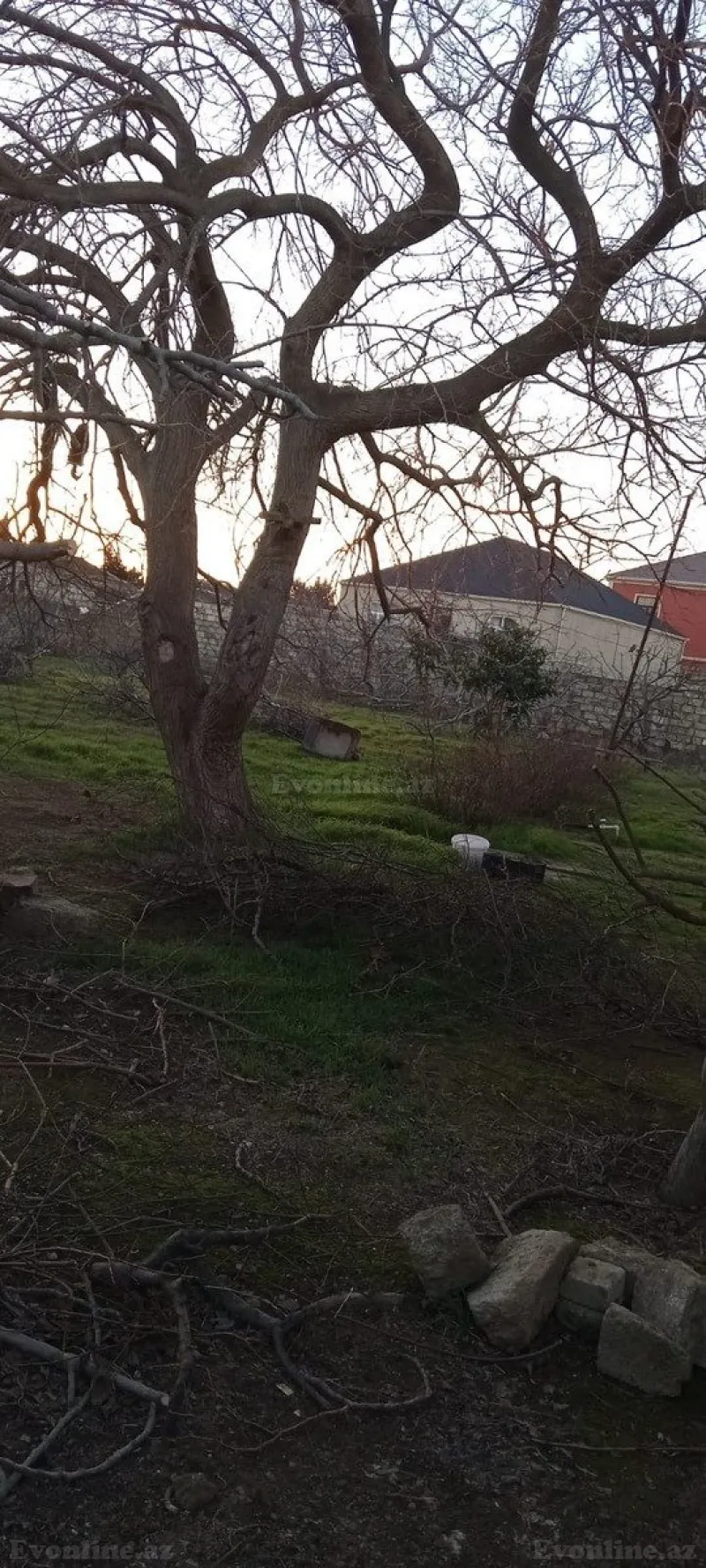 Satılır Torpaq 5 sot Ramana - şəkil 2