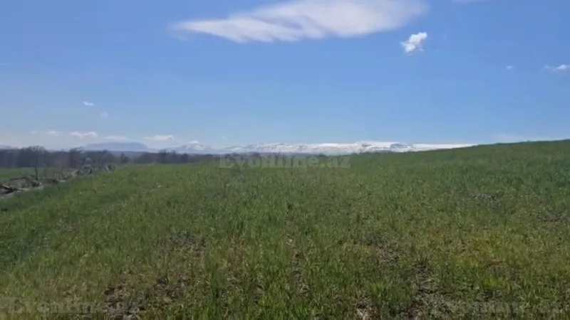 Satılır Torpaq 114 sot Quba