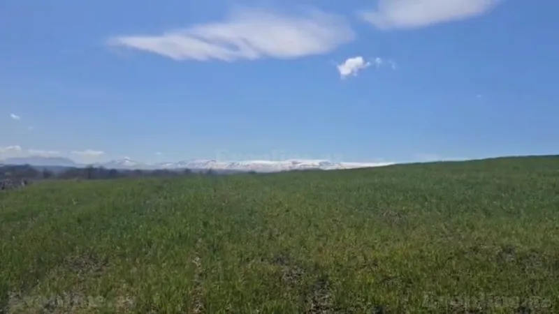 Satılır Torpaq 114 sot Quba - şəkil 2