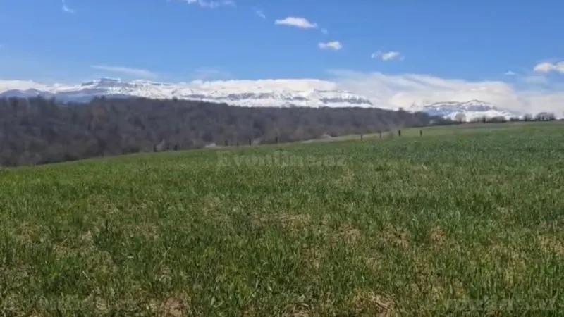 Satılır Torpaq 114 sot Quba - şəkil 3