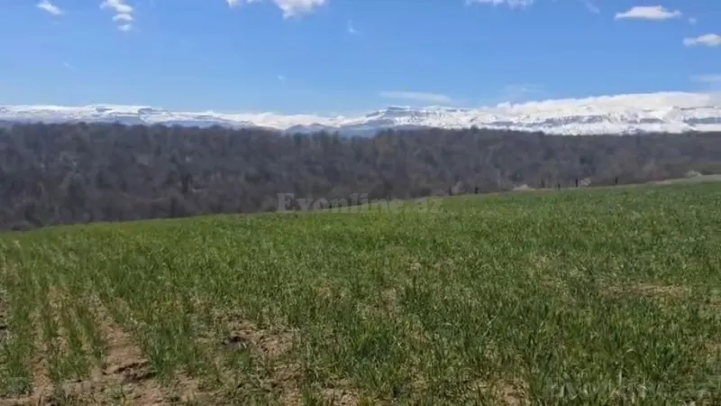 Satılır Torpaq 114 sot Quba - şəkil 4