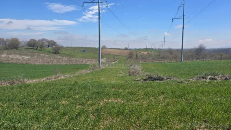 Satılır Torpaq 114 sot Quba - şəkil 5