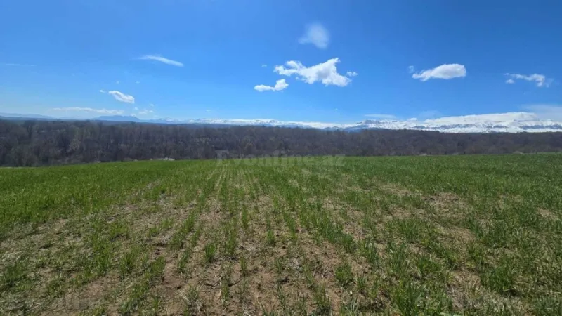 Satılır Torpaq 114 sot Quba - şəkil 6