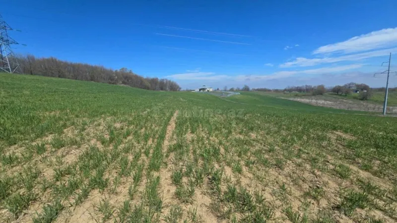 Satılır Torpaq 114 sot Quba - şəkil 7