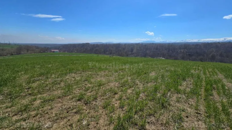 Satılır Torpaq 114 sot Quba - şəkil 8