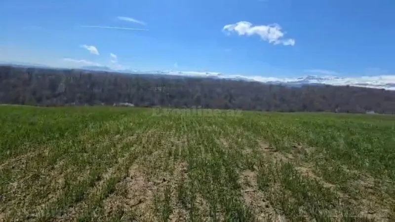 Satılır Torpaq 114 sot Quba - şəkil 9