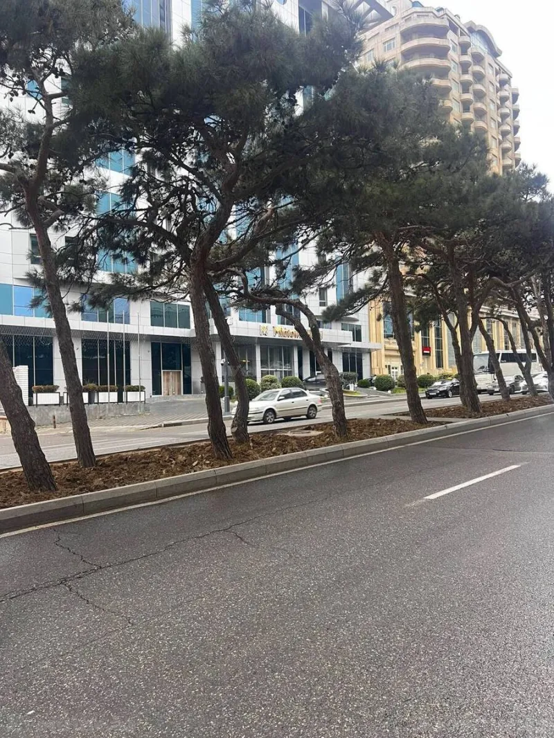 Satılır Ofis 137 m² 28 May m. - şəkil 8