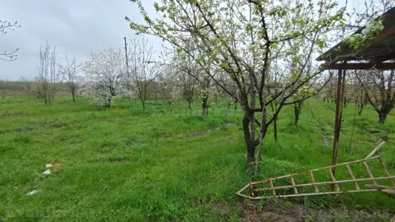 Torpaq Quba Satılır