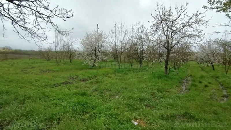 Satılır Torpaq 50 sot Quba - şəkil 4