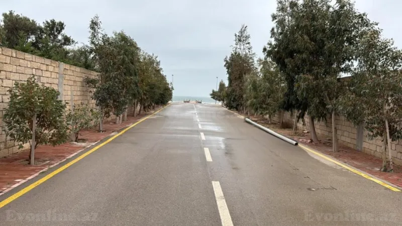 Satılır Torpaq 200 sot Zirə - şəkil 6