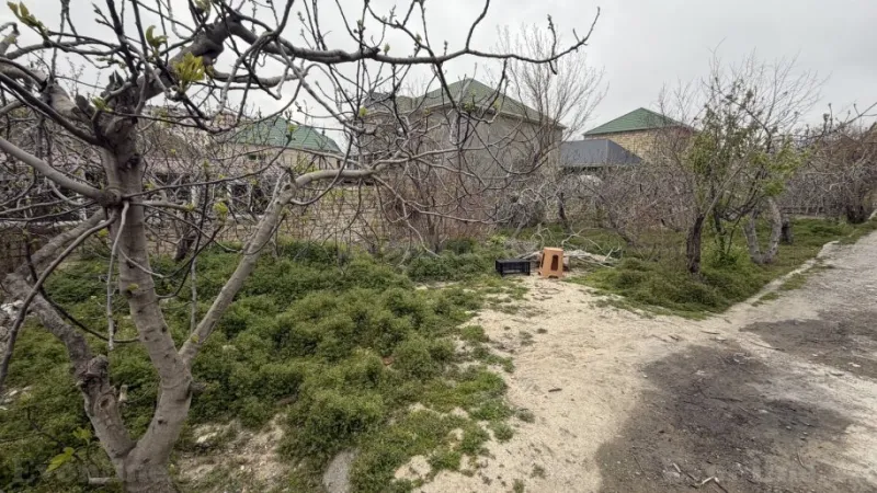 Satılır Torpaq 3 sot Masazır - şəkil 3