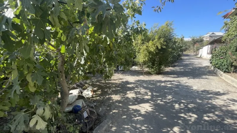 Satılır Torpaq 3 sot Masazır - şəkil 5