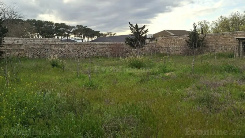 Torpaq Şağan Satılır