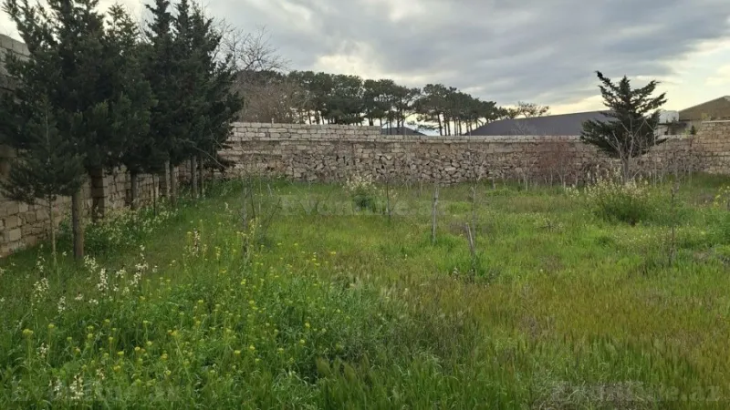 Satılır Torpaq 18 sot Şağan - şəkil 2