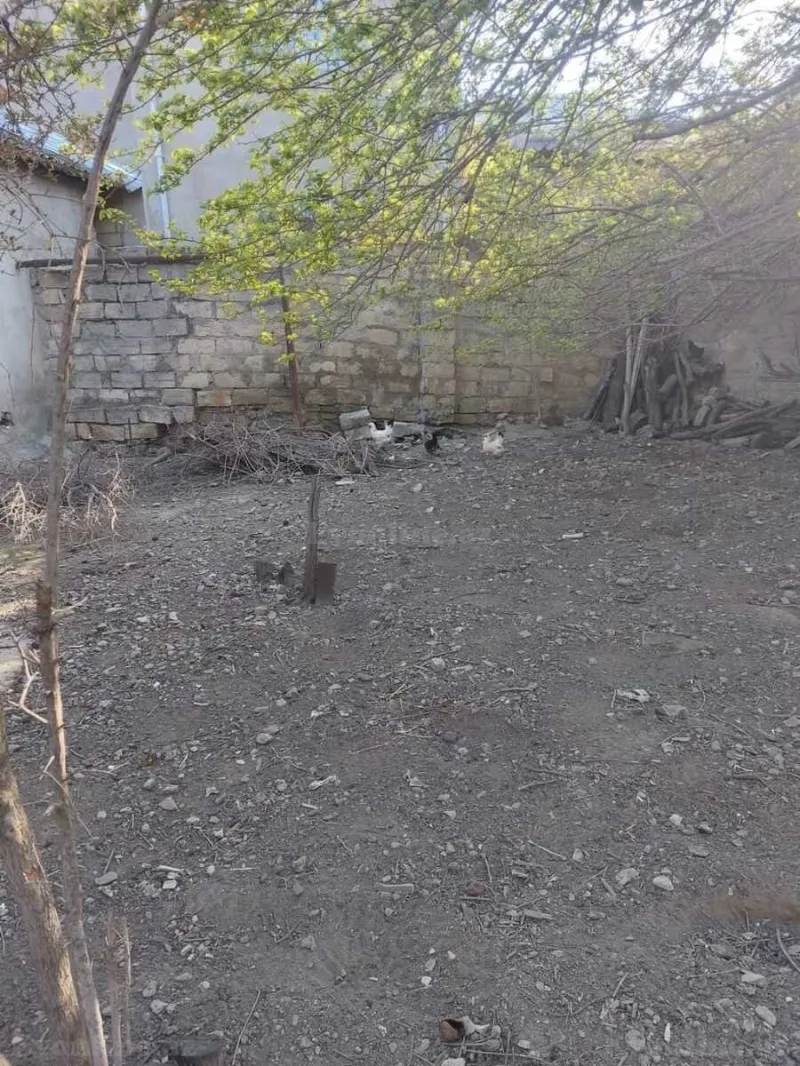 Torpaq Nəsimi m. Satılır