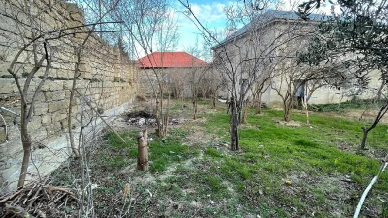 Satılır Torpaq 4 sot Köhnə Günəşli - şəkil 2