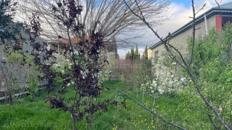 Satılır Torpaq 4 sot Köhnə Günəşli - şəkil 3