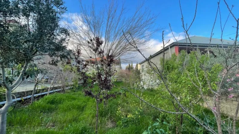 Satılır Torpaq 4 sot Köhnə Günəşli - şəkil 4