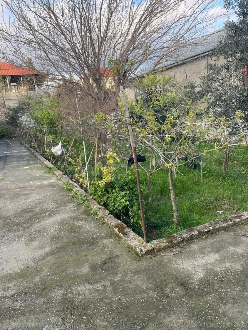 Satılır Torpaq 4 sot Köhnə Günəşli - şəkil 5