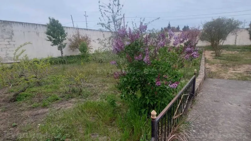 Satılır Torpaq 12 sot Sabunçu r. - şəkil 7