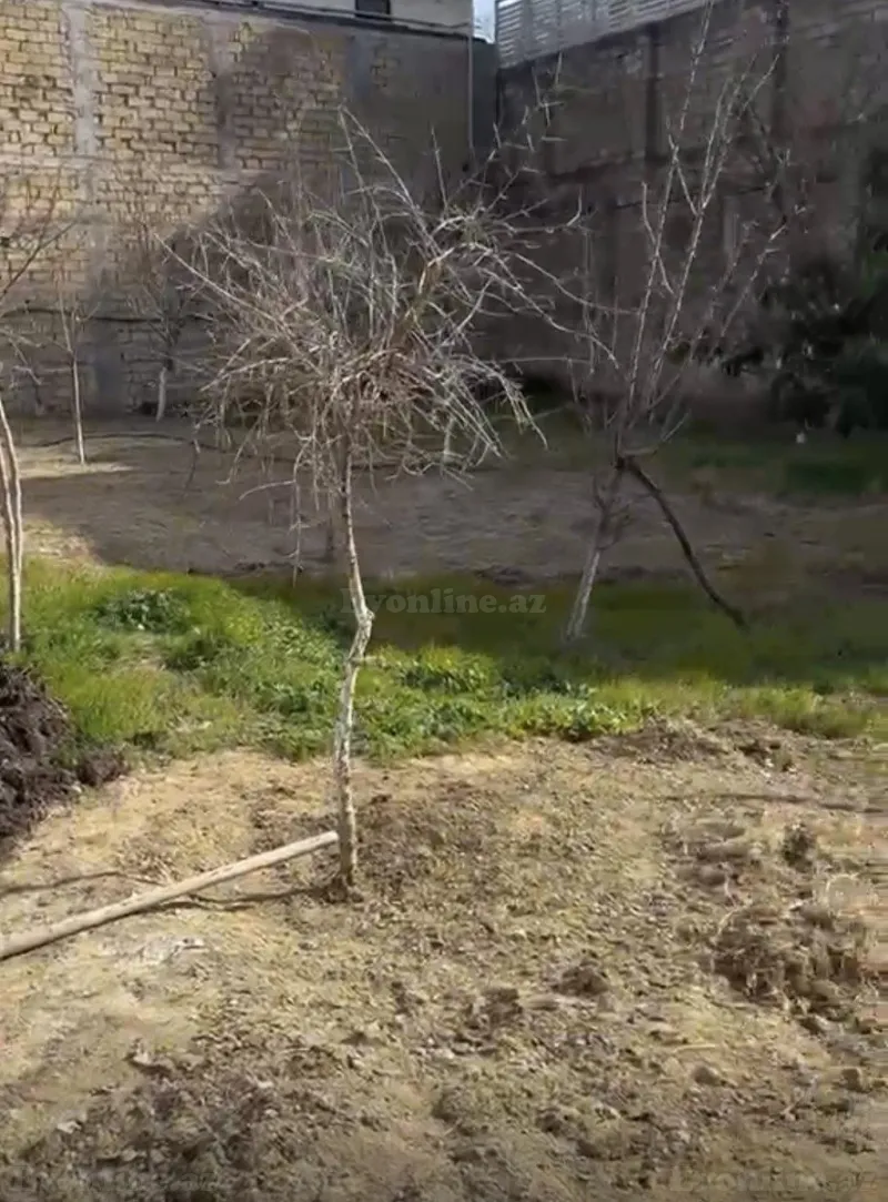 Satılır Torpaq 5 sot Badamdar - şəkil 3