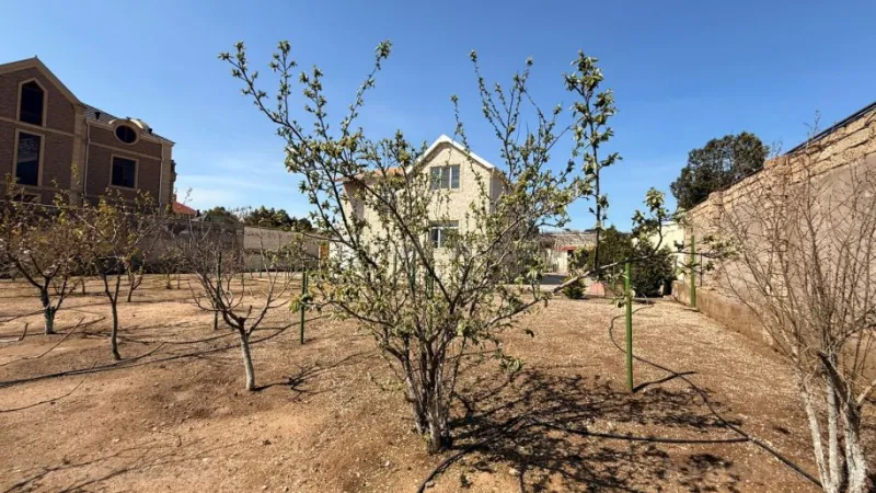 Satılır Torpaq 20.5 sot Şüvəlan - şəkil 9